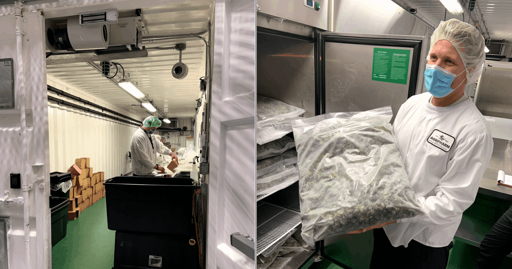 Road Trip, November 2020—Alan Aldous Goes to Agripharm to See Where the Rosin is Pressed 4