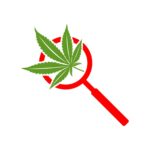 Cannabis Search Engine Optimization